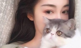 猫脸女孩爆料视频大全下载,揭秘网络红人神秘面纱